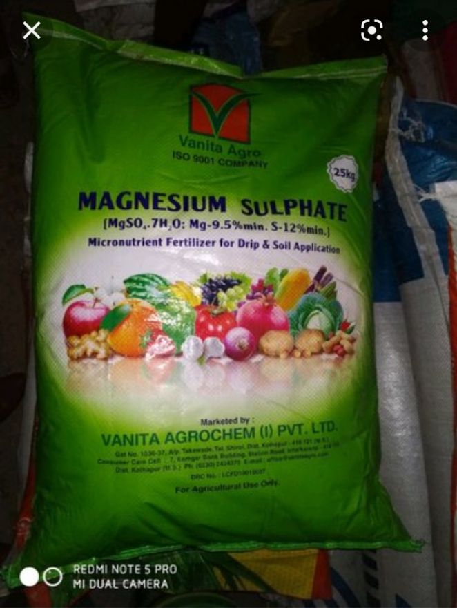 MAGNESIUM SULPHATE